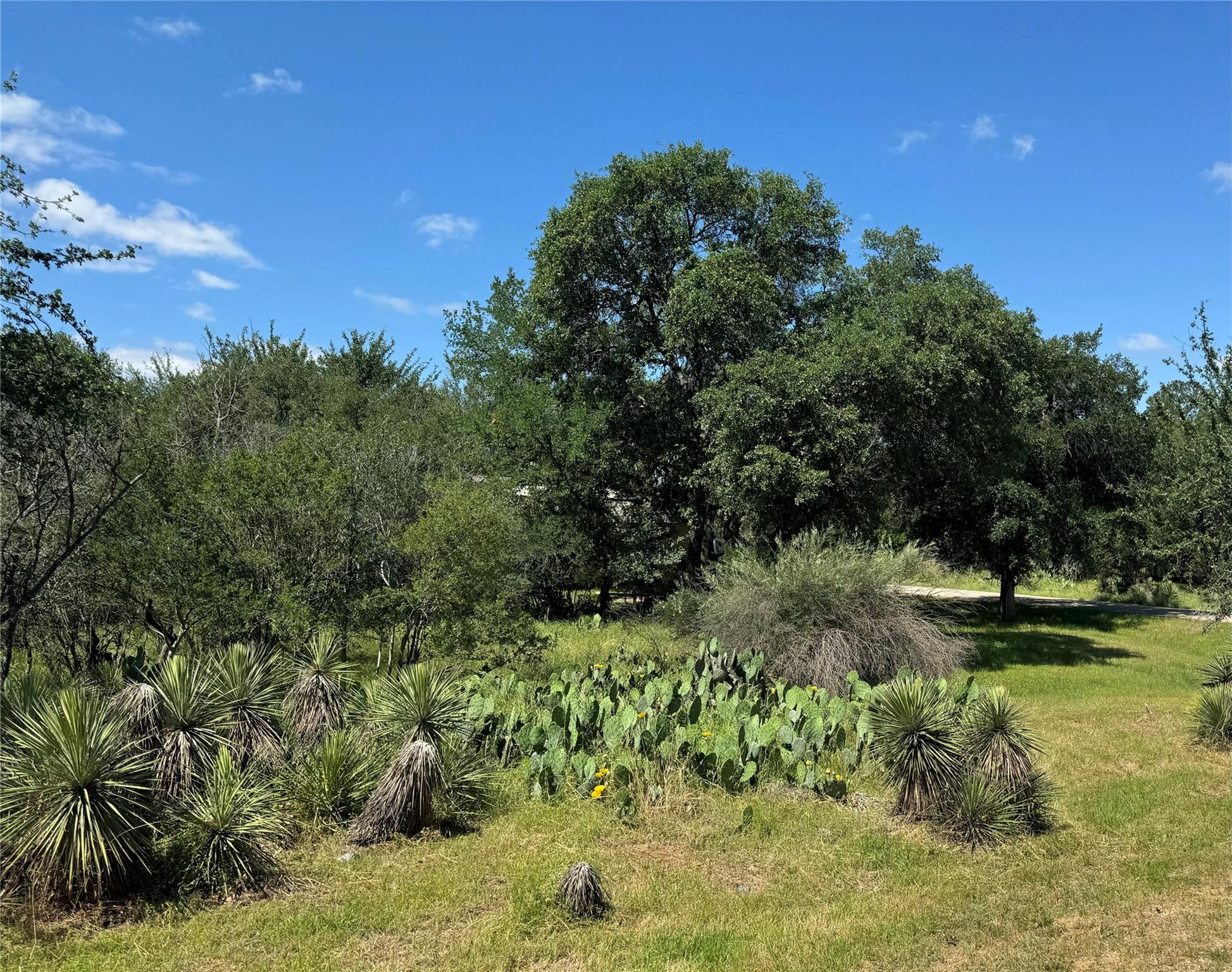 Lot 173 & 174 W Briar Dr Property Photo 3