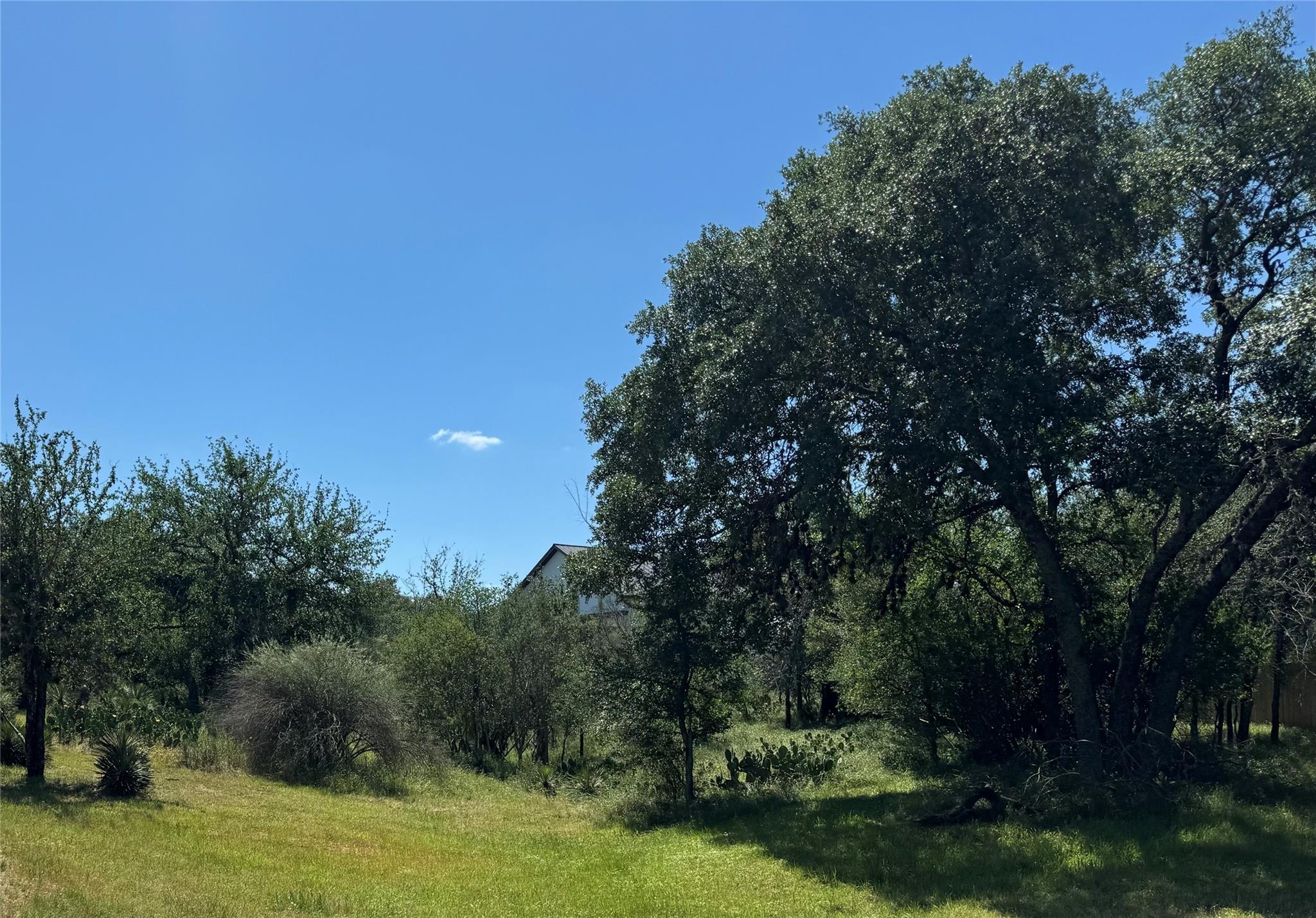 Lot 173 & 174 W Briar Dr Property Photo 6