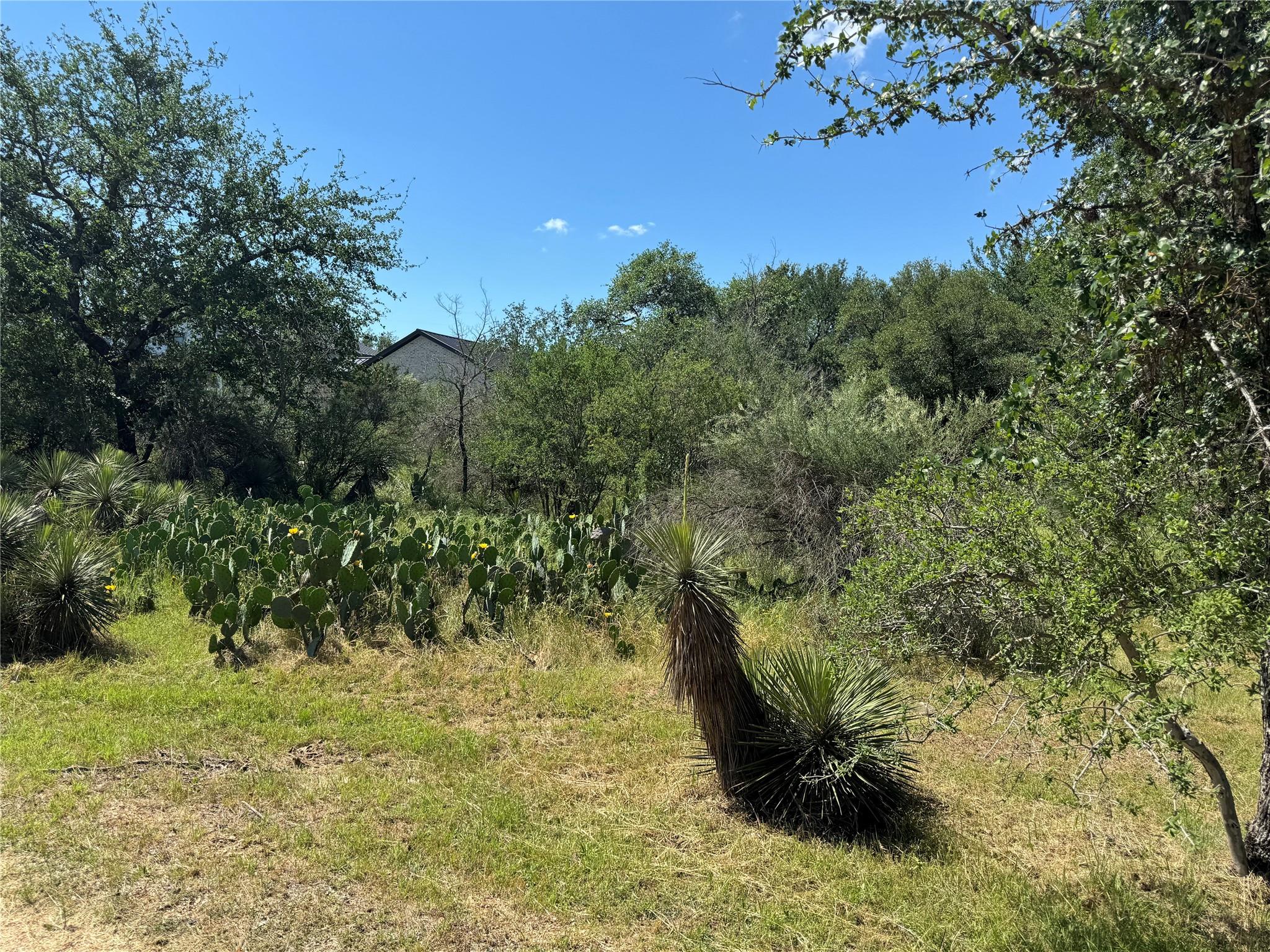 Lot 173 & 174 W Briar Dr Property Photo 9