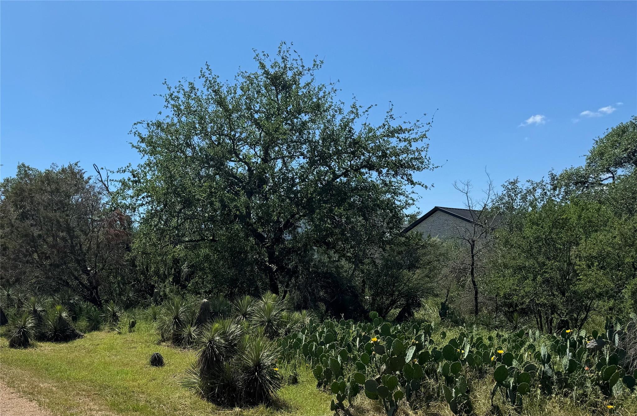 Lot 173 & 174 W Briar Dr Property Photo 10
