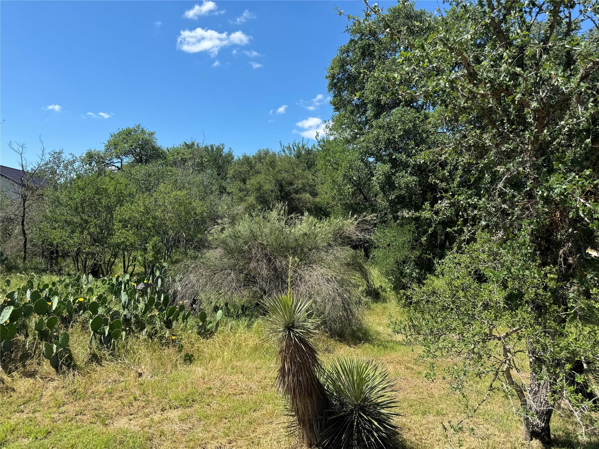 Lot 173 & 174 W Briar Dr Property Photo 11
