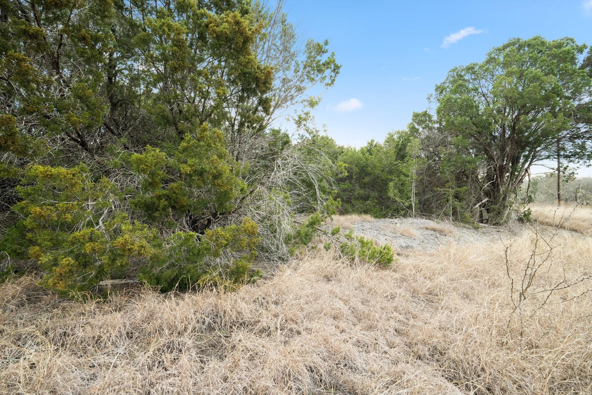 S Hwy 281 Property Photo 15