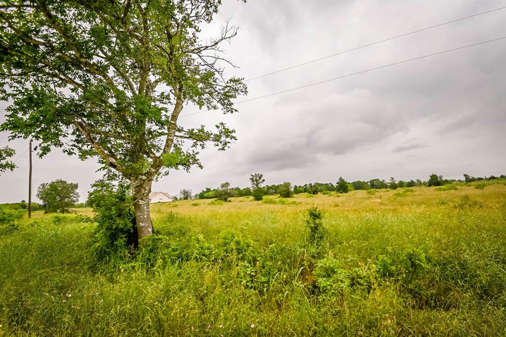 000 County Road 451 Lot 5 Property Photo 1