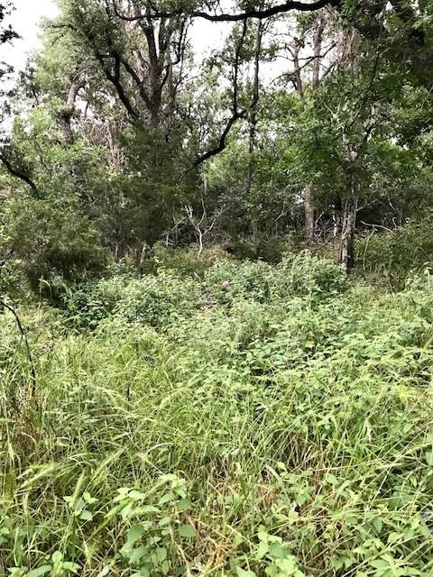 211 Ridgewood Dr Property Photo 13
