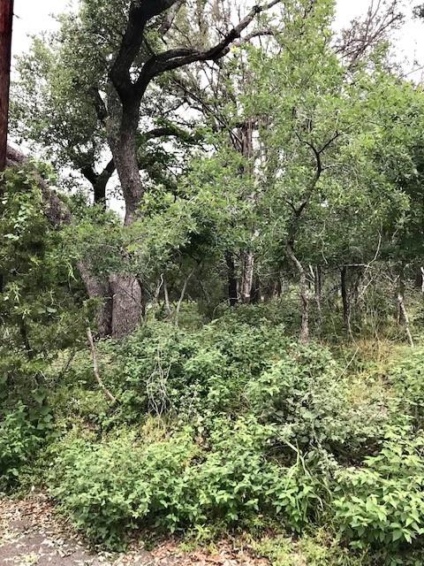 211 Ridgewood Dr Property Photo 17
