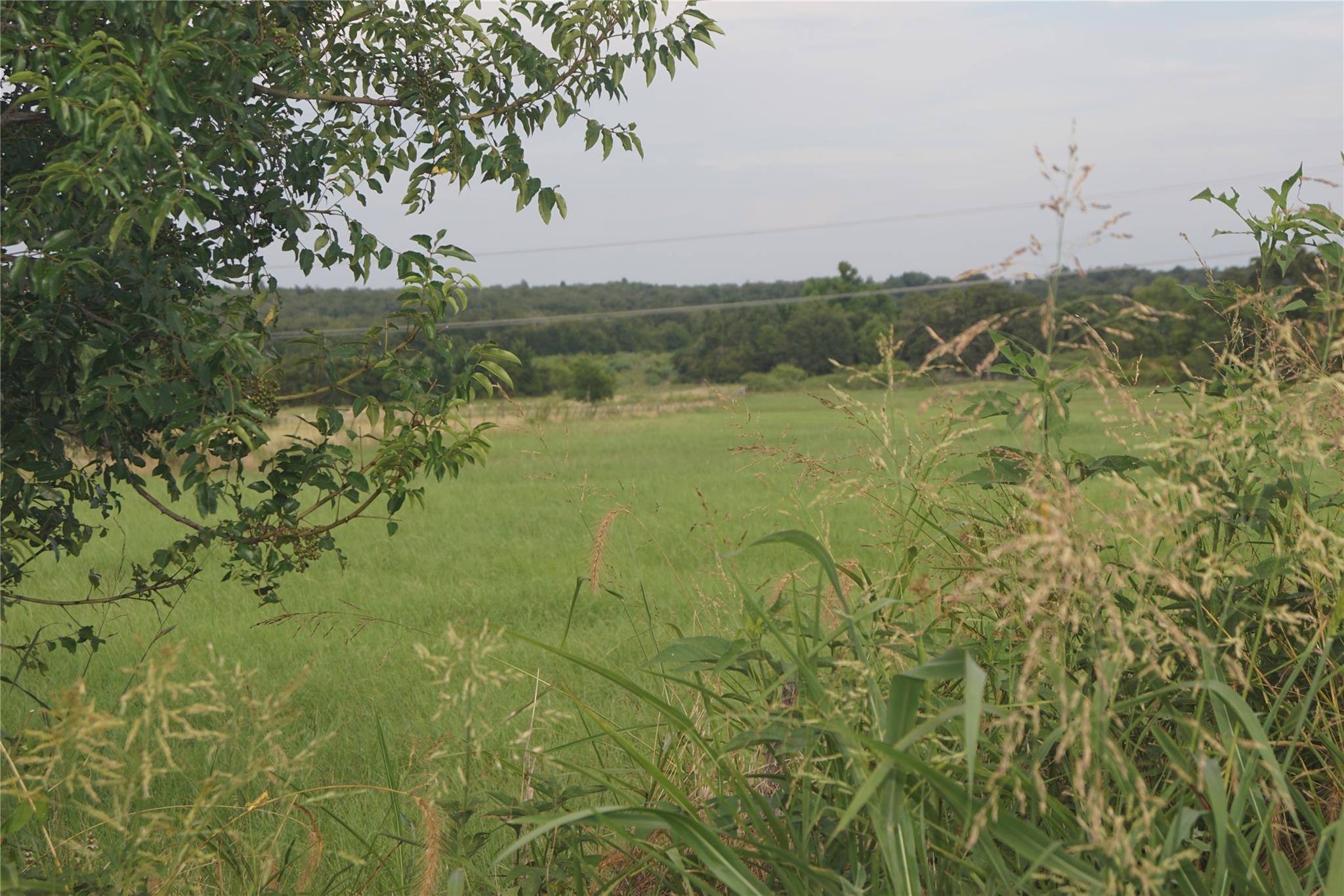 Tbd N County Road 302 Property Photo