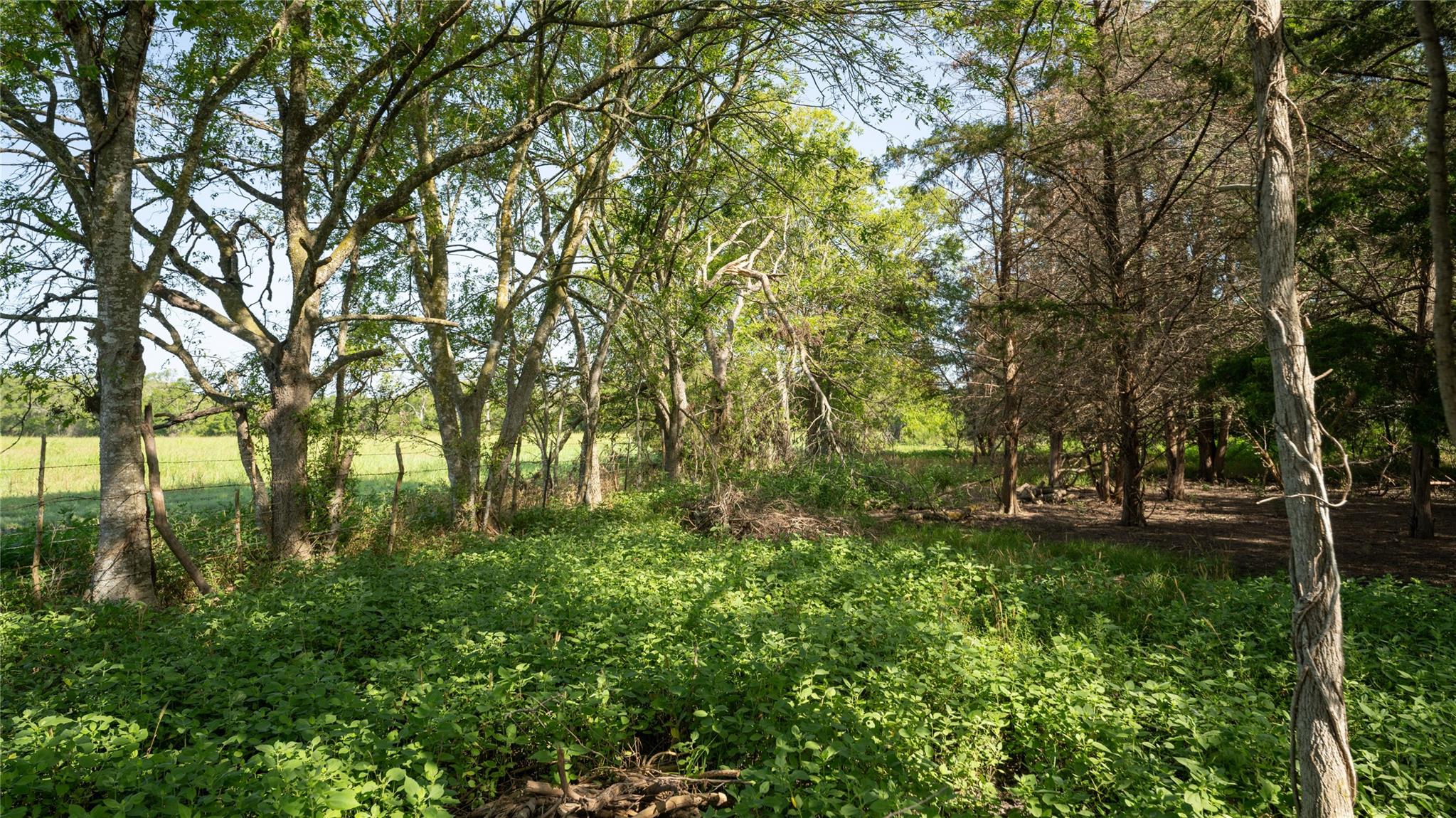 000 Tbd Property Photo 5