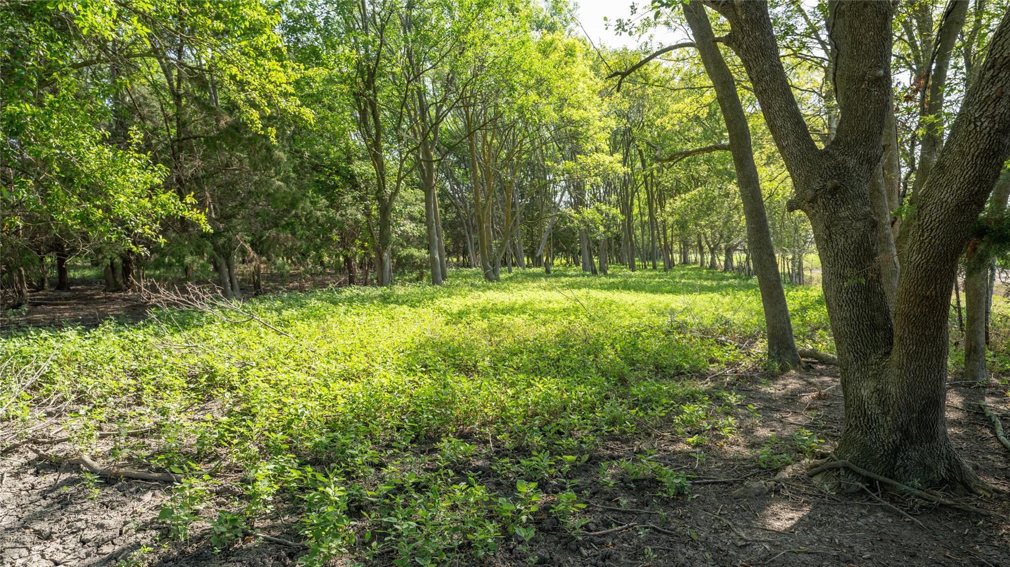 000 Tbd Property Photo 7