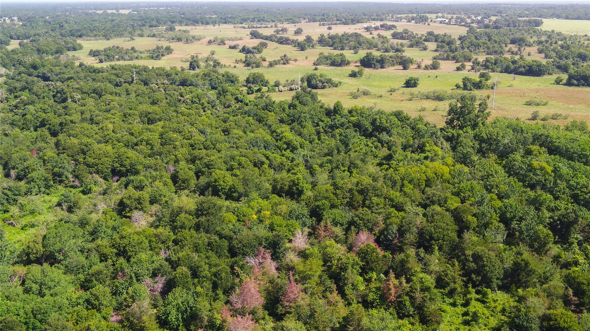 000 Tbd Property Photo 11