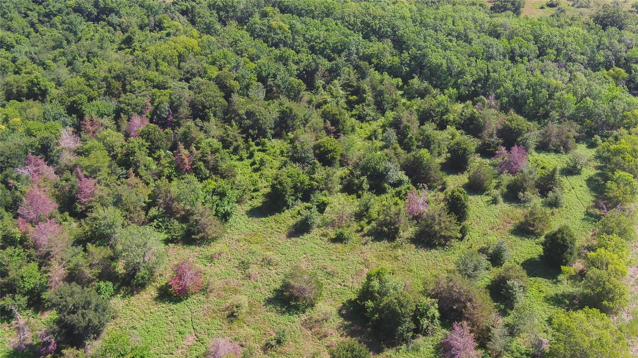000 Tbd Property Photo 12