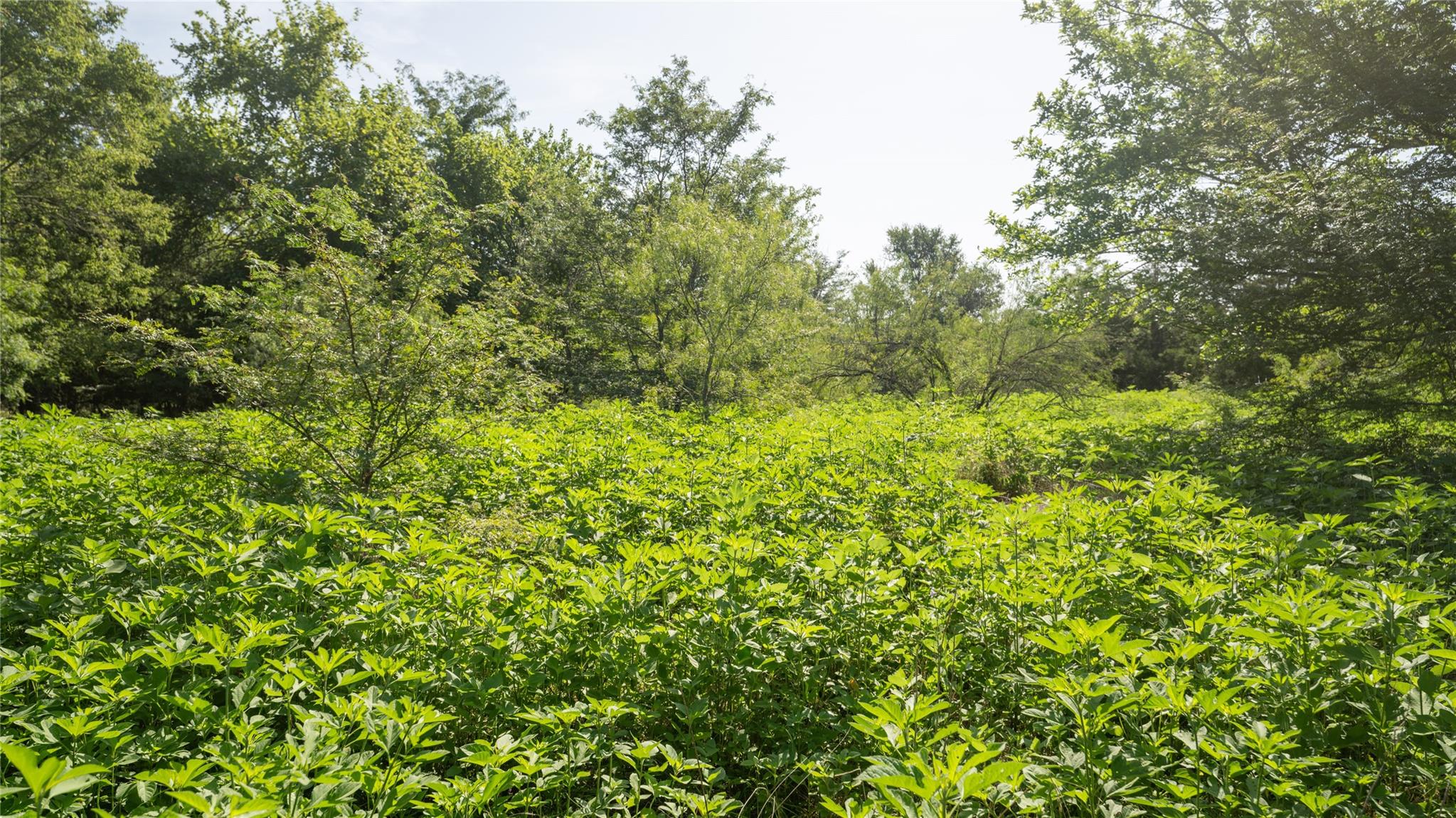 000 Tbd Property Photo 14