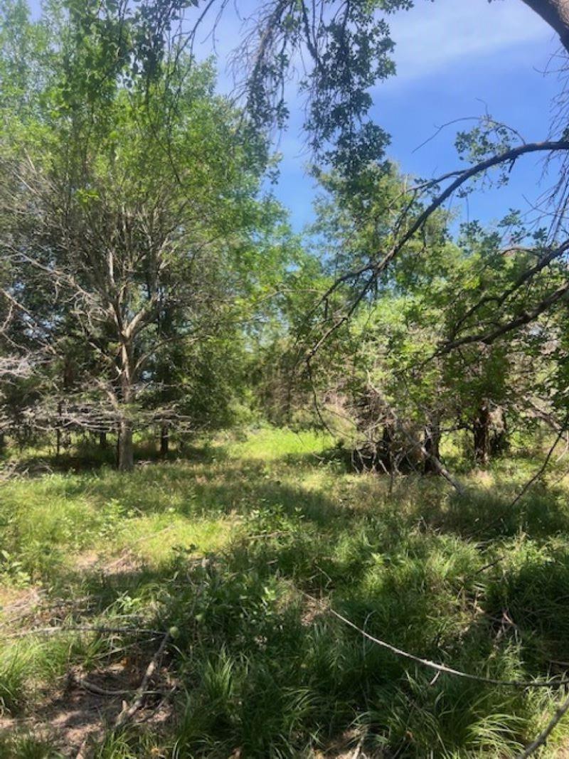 000 Tbd Property Photo 16