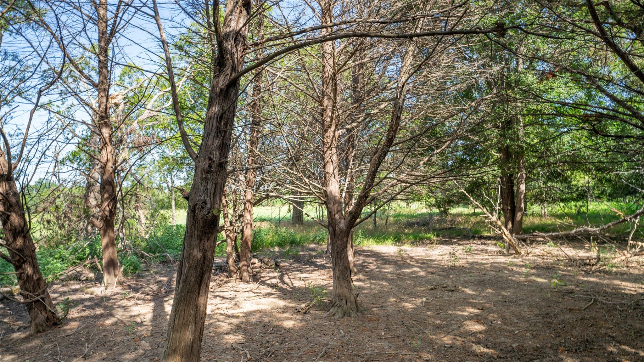 000 Tbd Property Photo 17