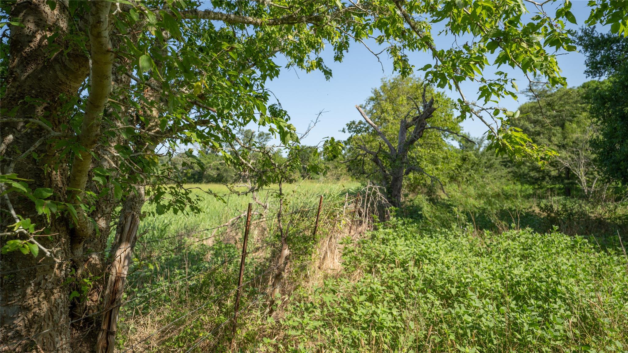 000 Tbd Property Photo 18