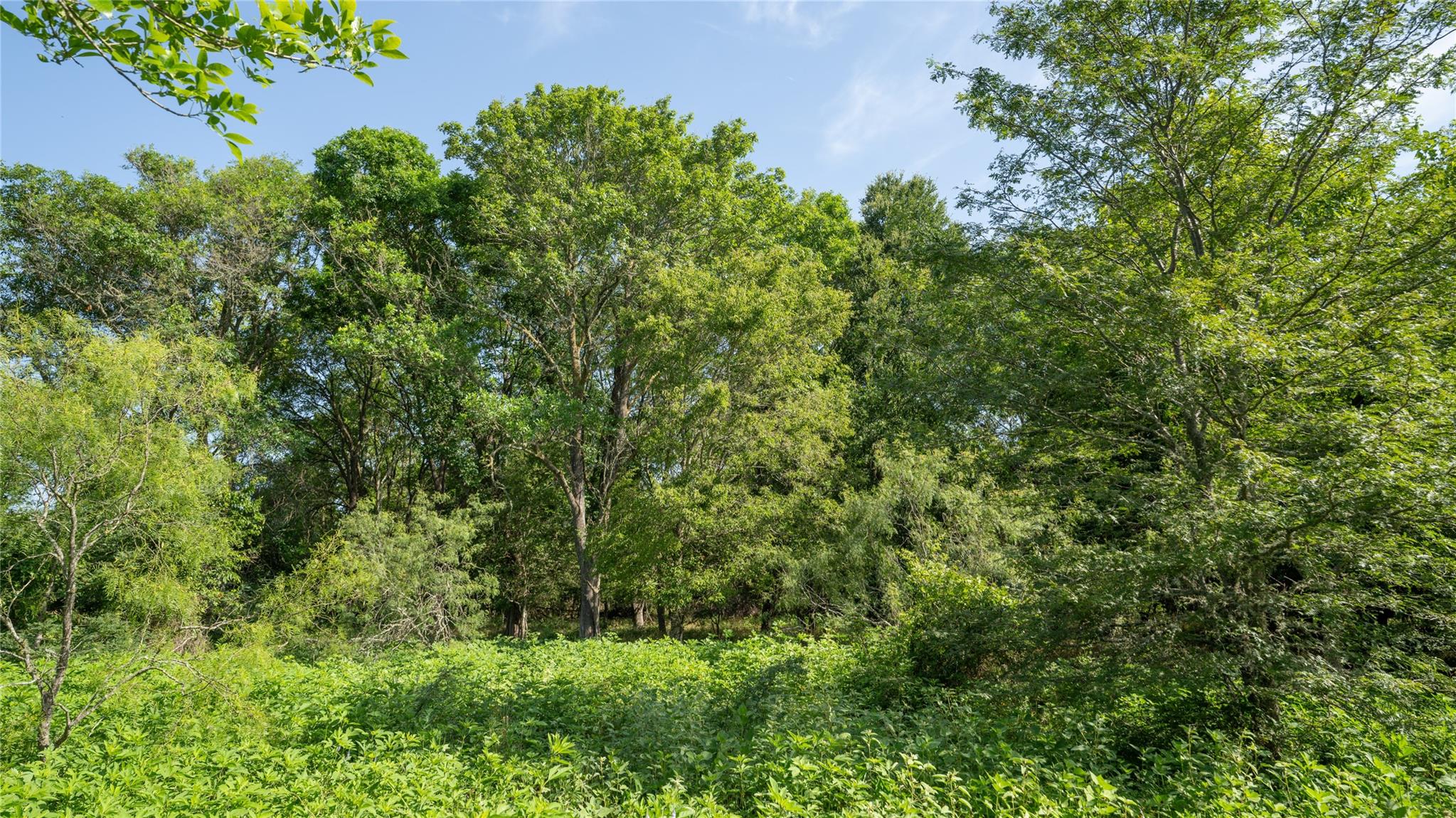 000 Tbd Property Photo 19