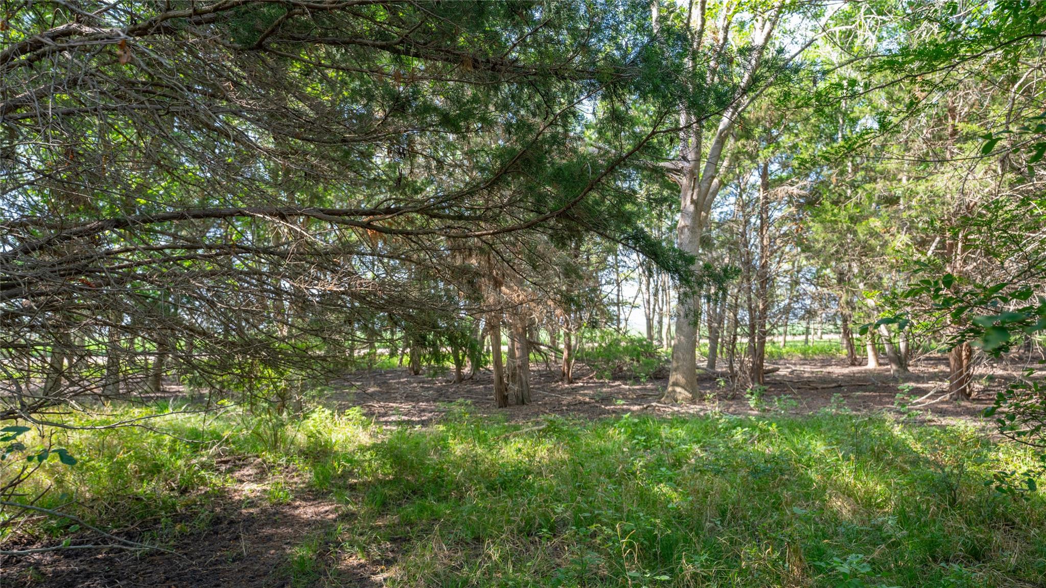 000 Tbd Property Photo 21