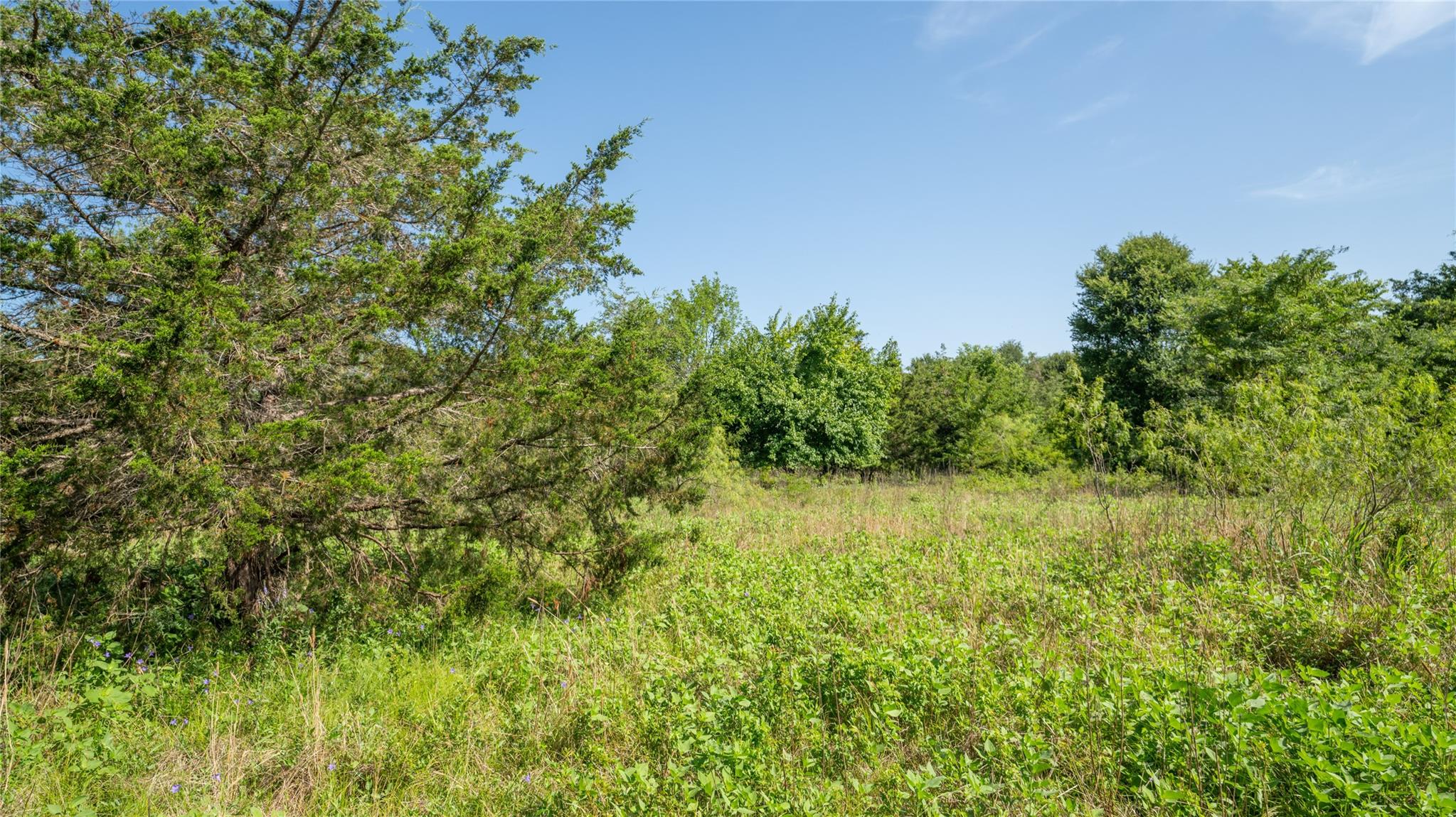 000 Tbd Property Photo 22