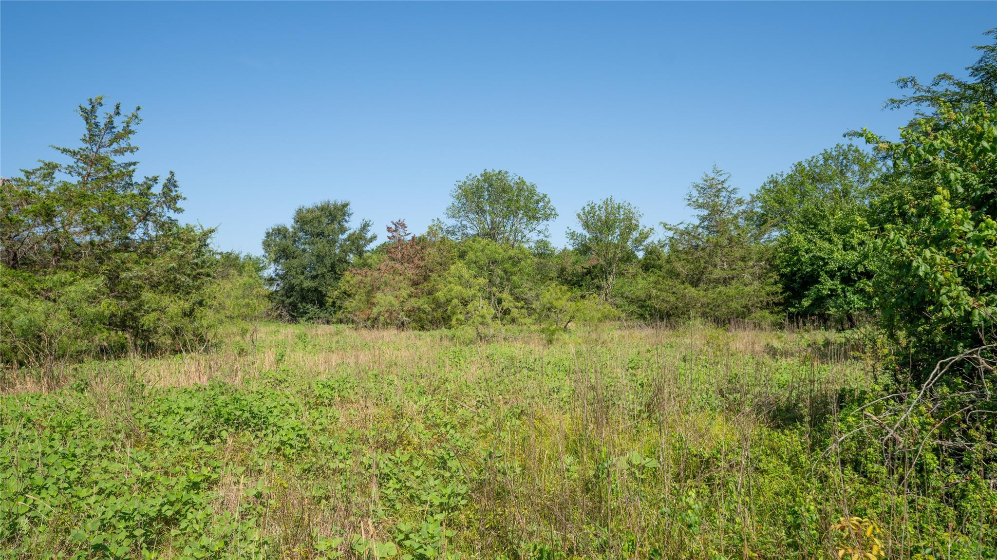 000 Tbd Property Photo 23