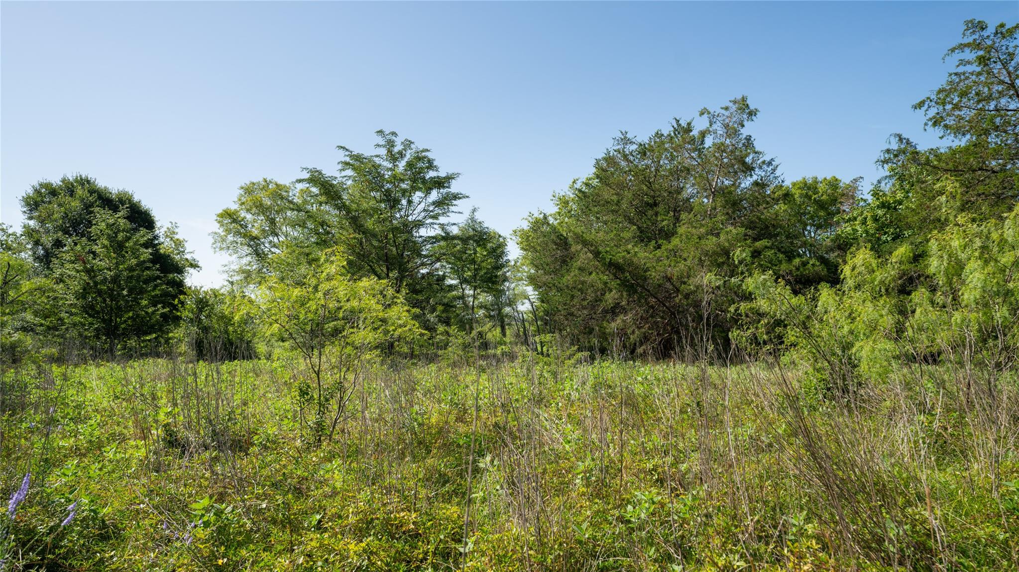 000 Tbd Property Photo 24