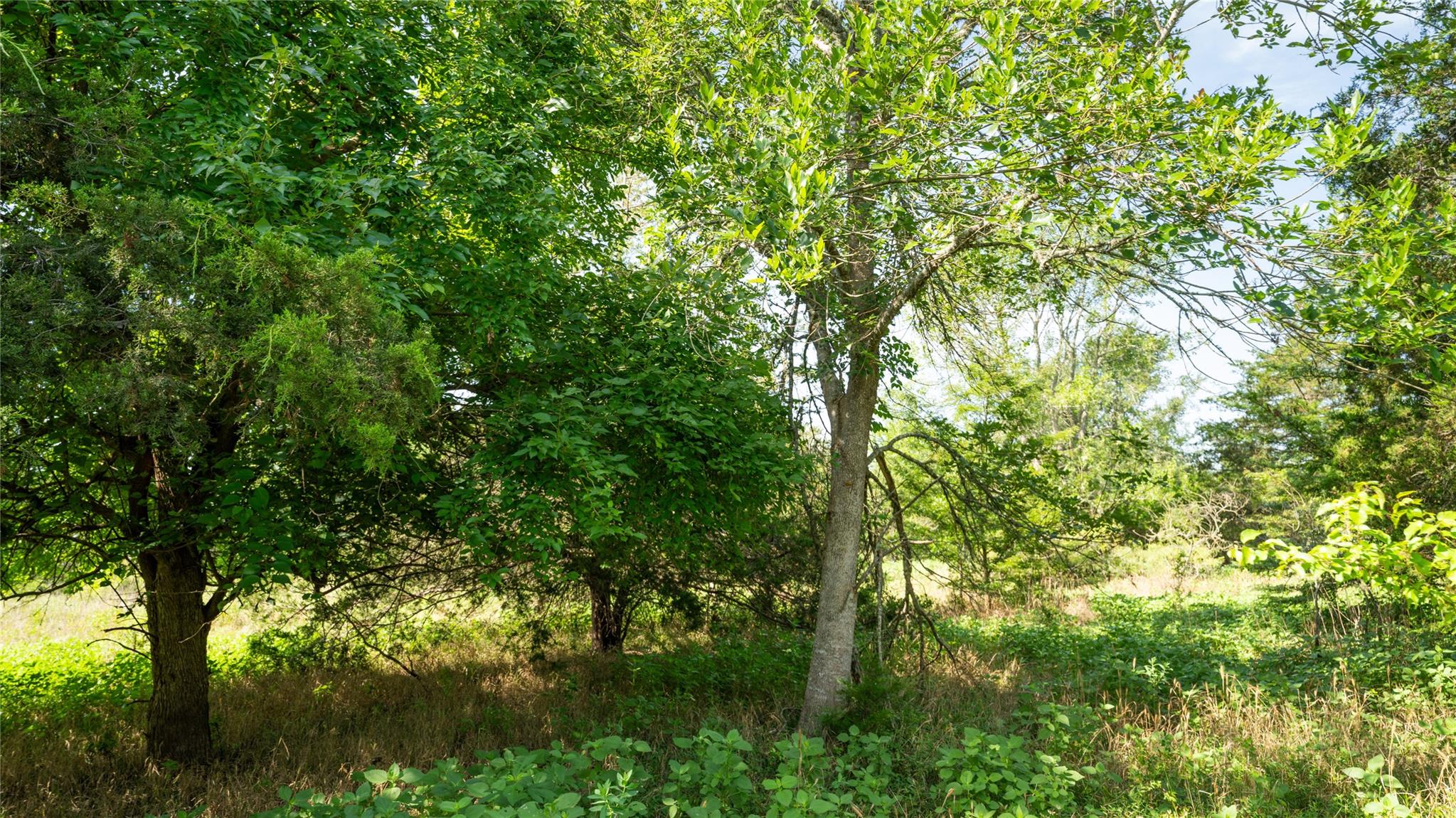 000 Tbd Property Photo 25