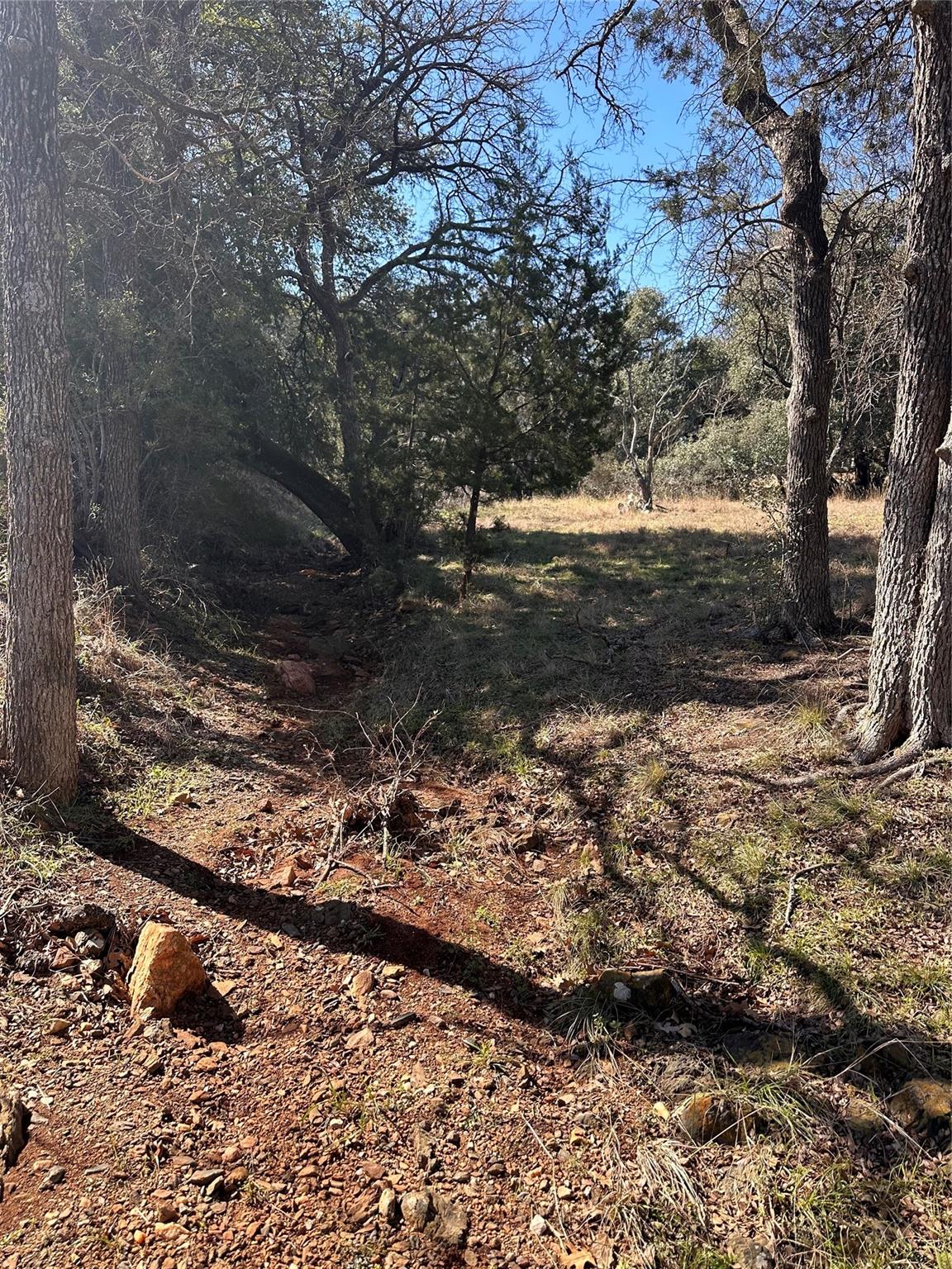 W28055 Palomino Property Photo 3