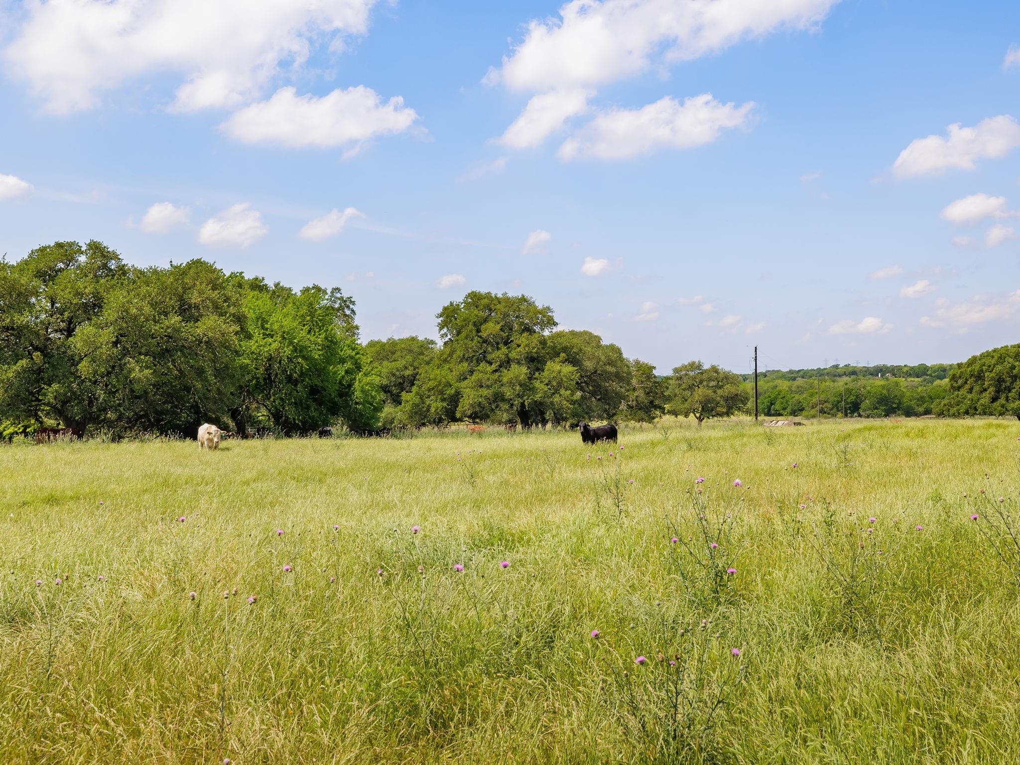 8011 Fm 1291 Highway Property Photo 16