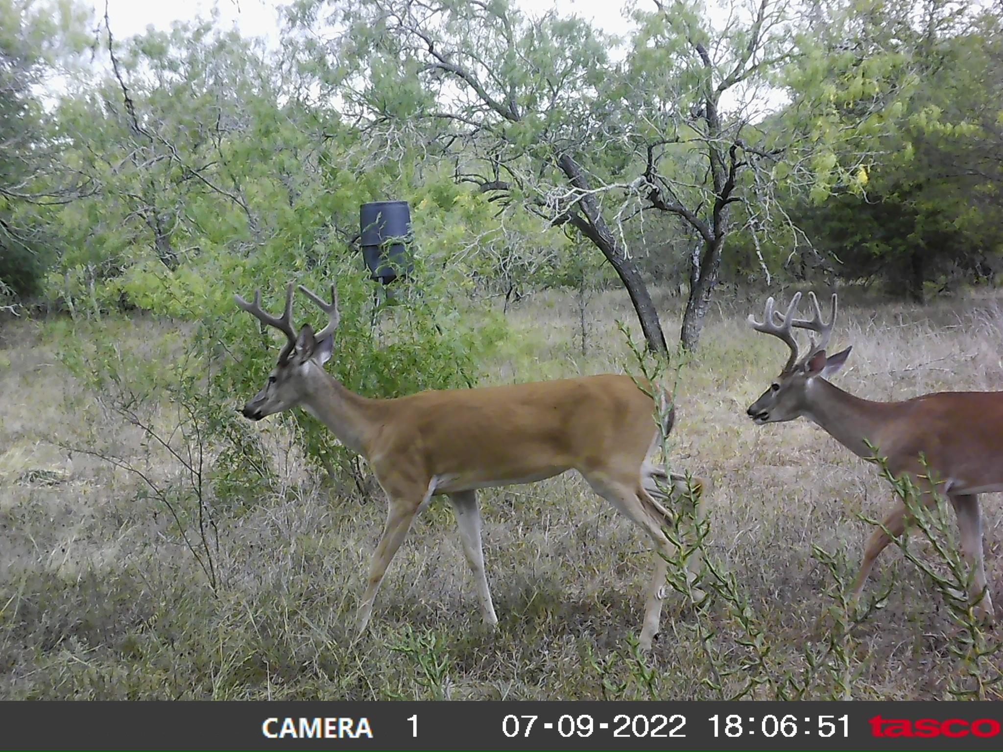3597 Baker Rd Property Photo 4