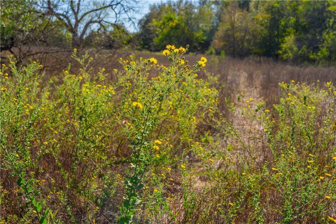 3597 Baker Rd Property Photo 20