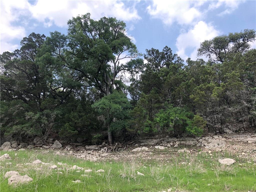 Tbd Comanche Trl Property Photo 2