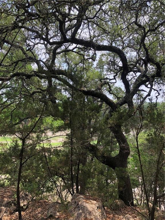 Tbd Comanche Trl Property Photo 5