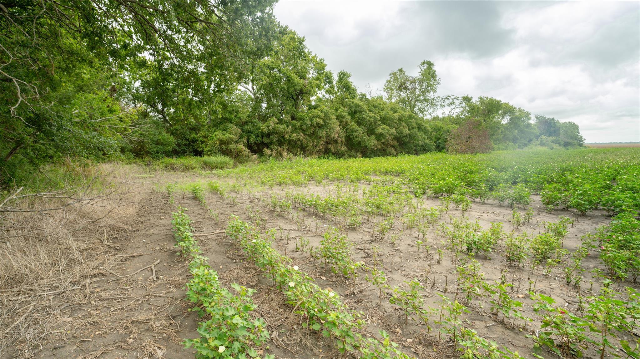 108 Cr 240a Property Photo 26