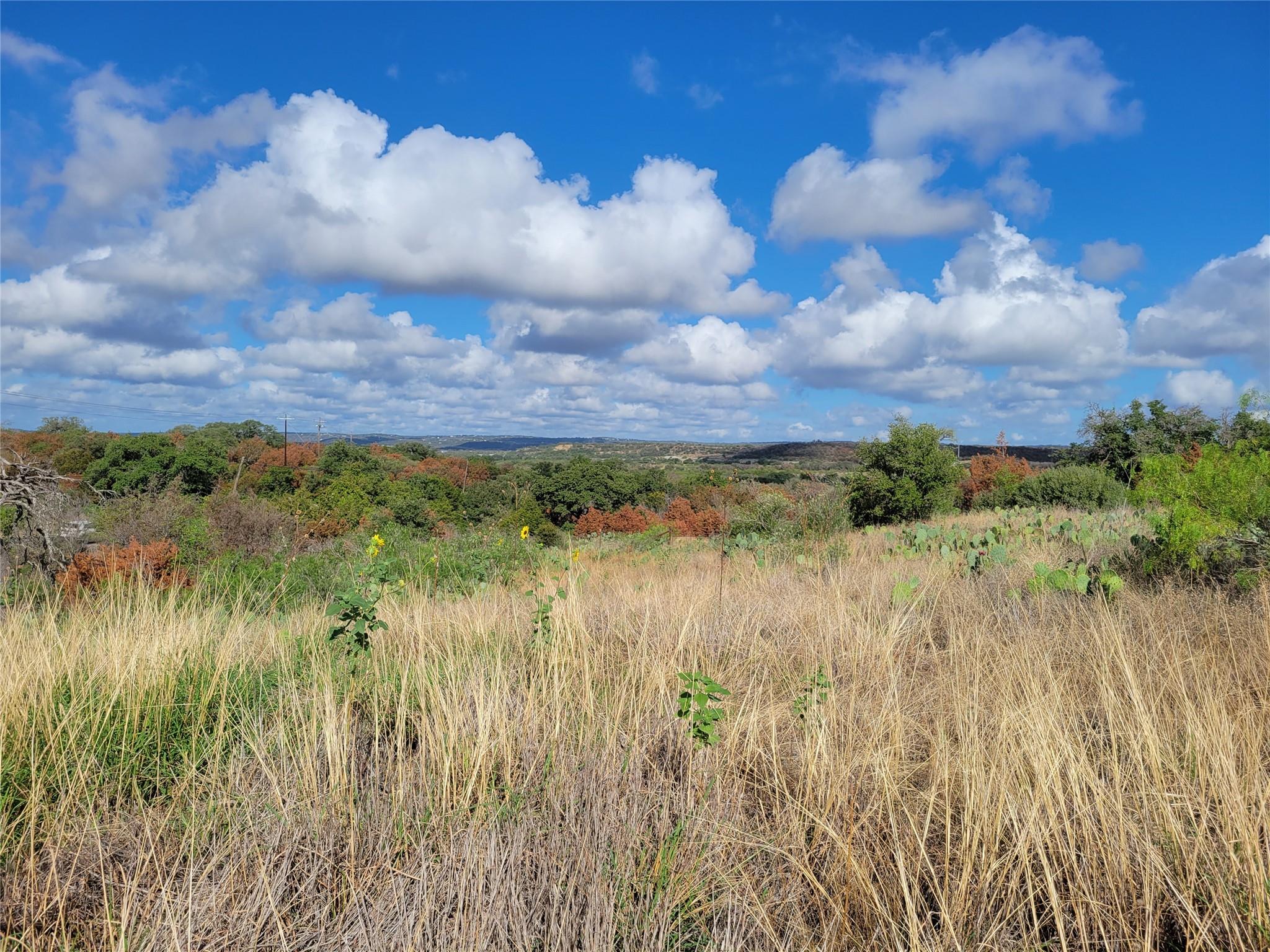 Tbd Fm 1855 Highway Property Photo