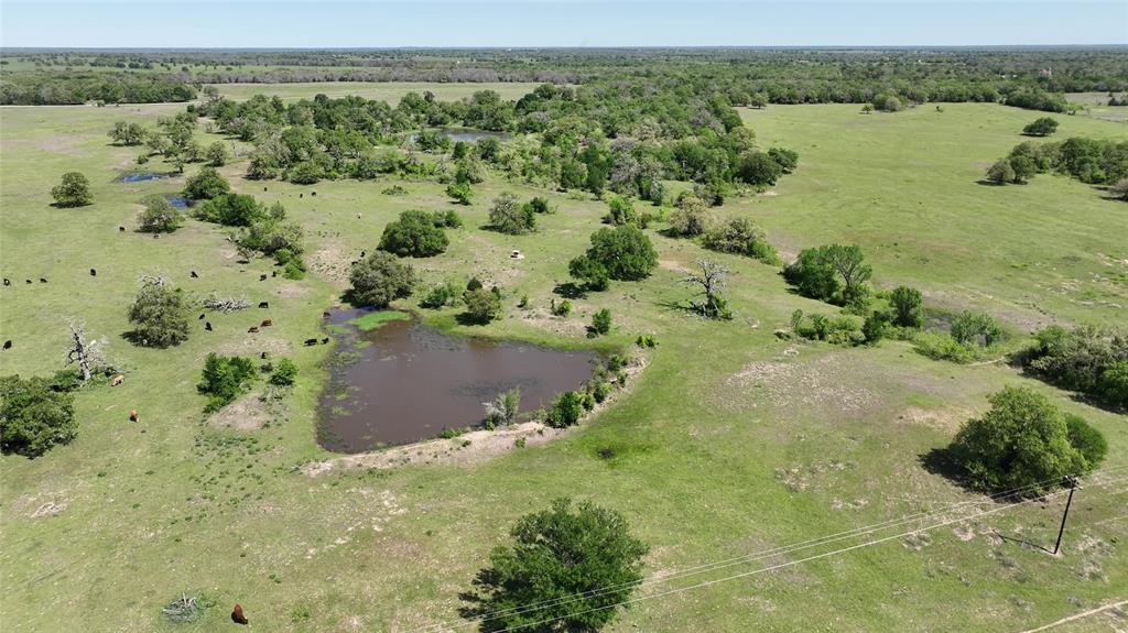 0 County Road 119 None Property Photo 19