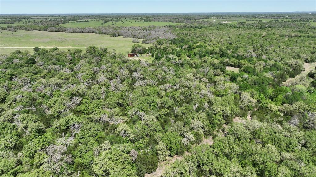 0 County Road 119 None Property Photo 21