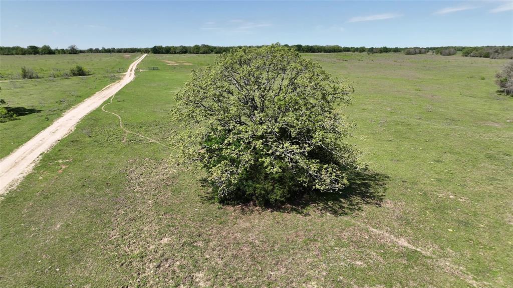 0 County Road 119 None Property Photo 23