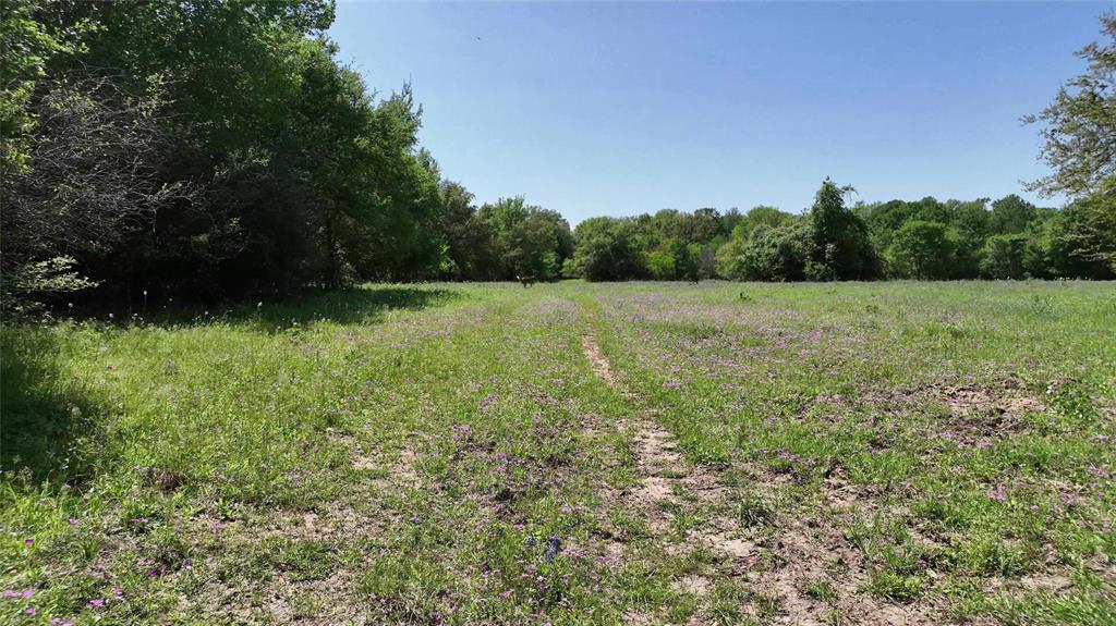 0 County Road 119 None Property Photo 28