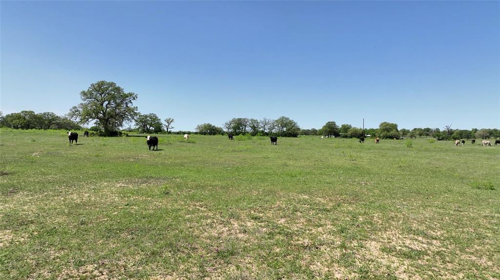 0 County Road 119 None Property Photo 30