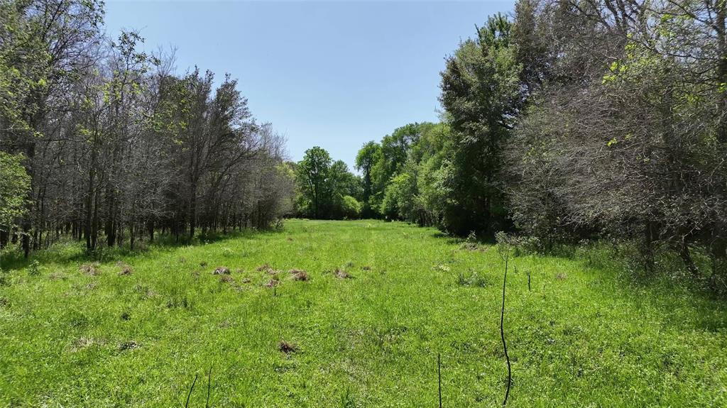 0 County Road 119 None Property Photo 37