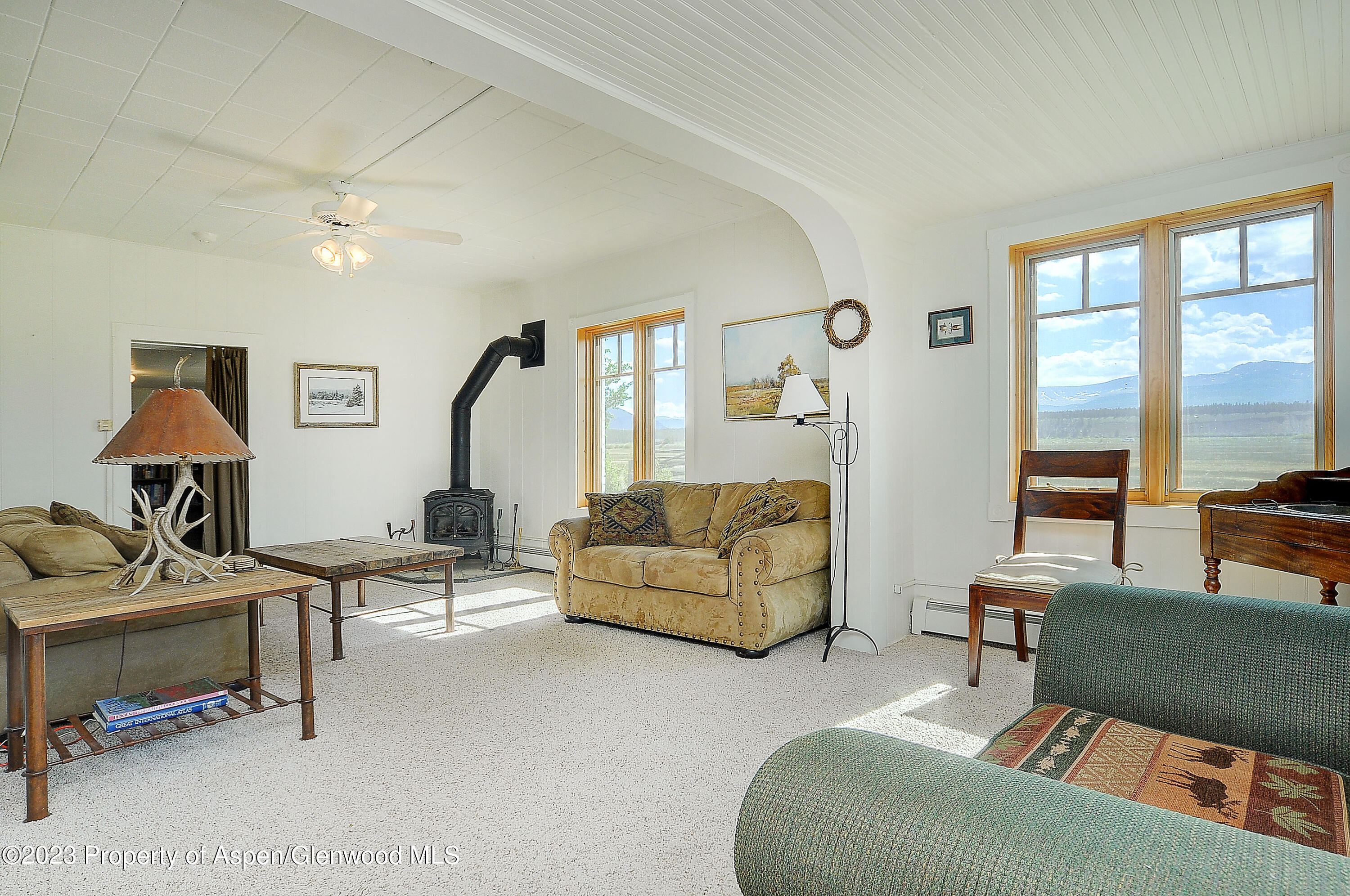 875 Hwy 300 Property Photo 8