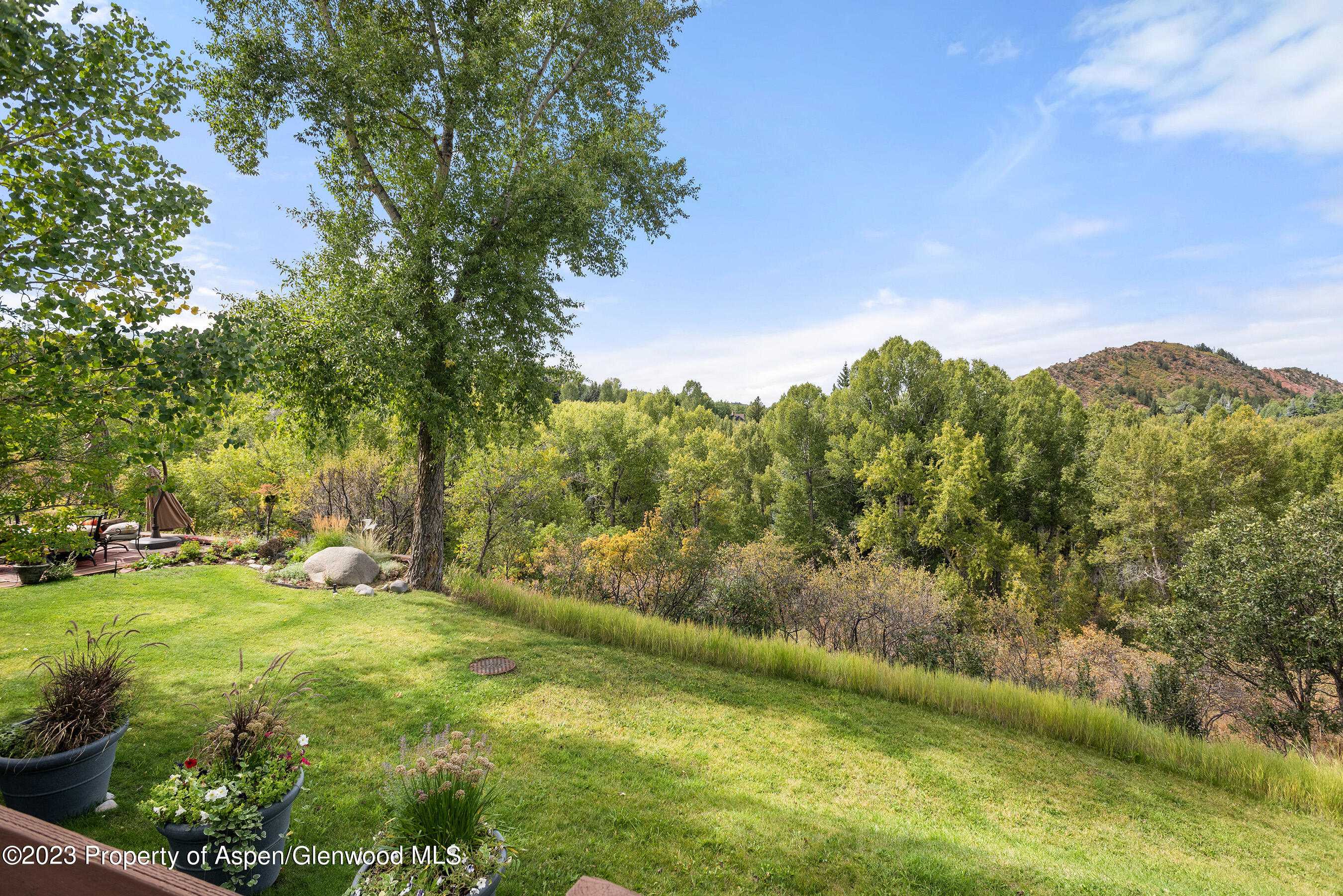 81 Meadows Trustee Road Property Photo 12