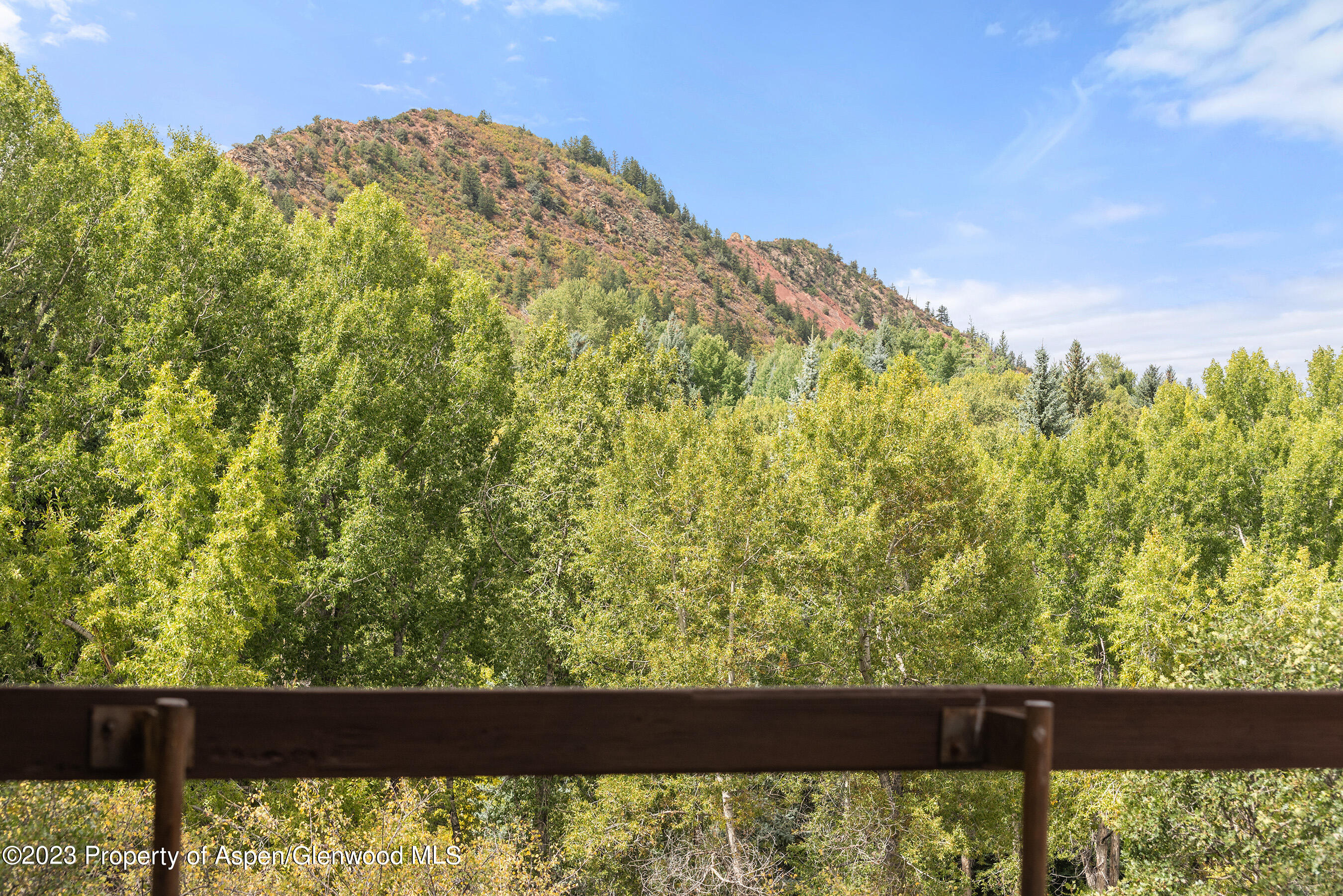 81 Meadows Trustee Road Property Photo 15