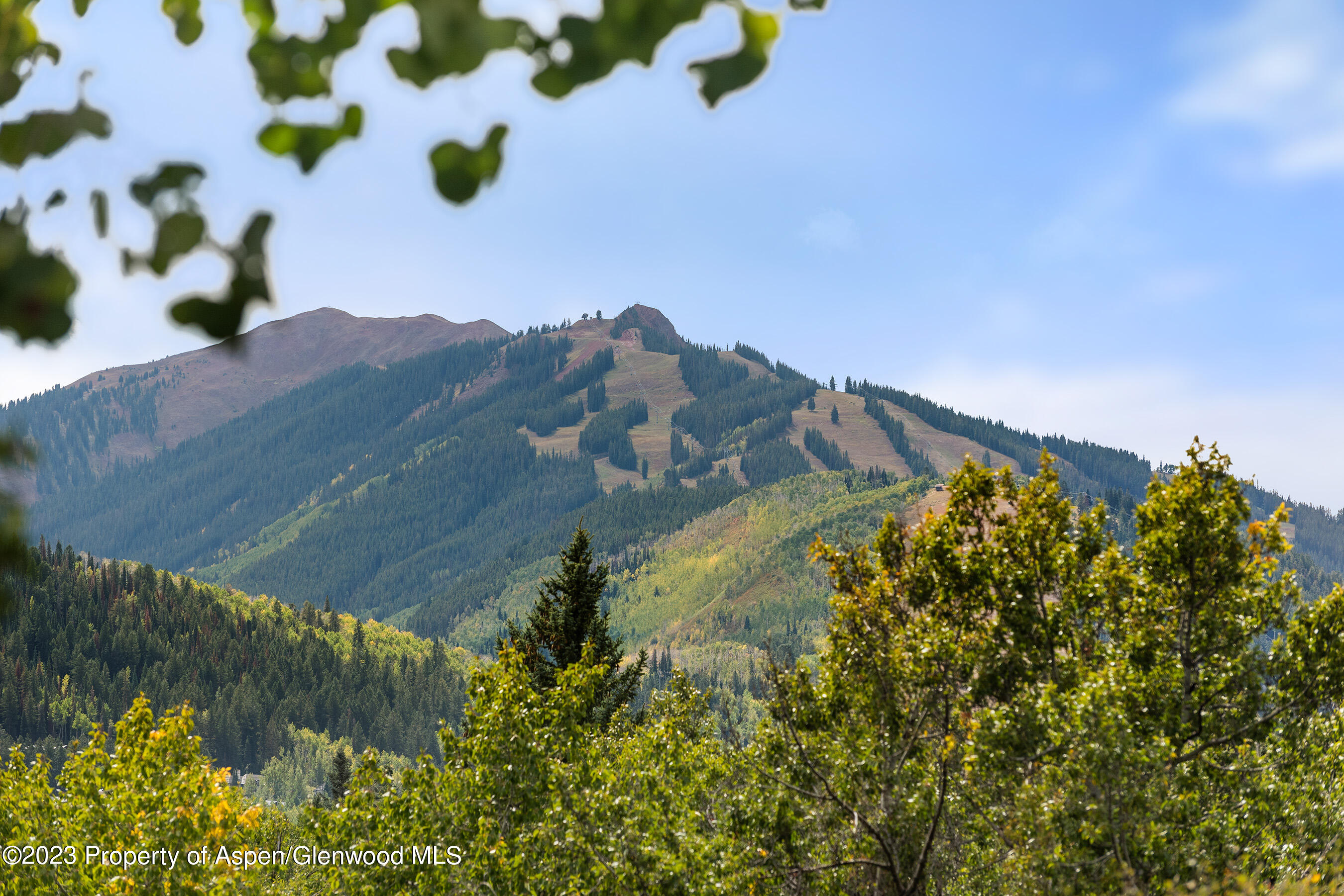 81 Meadows Trustee Road Property Photo 16