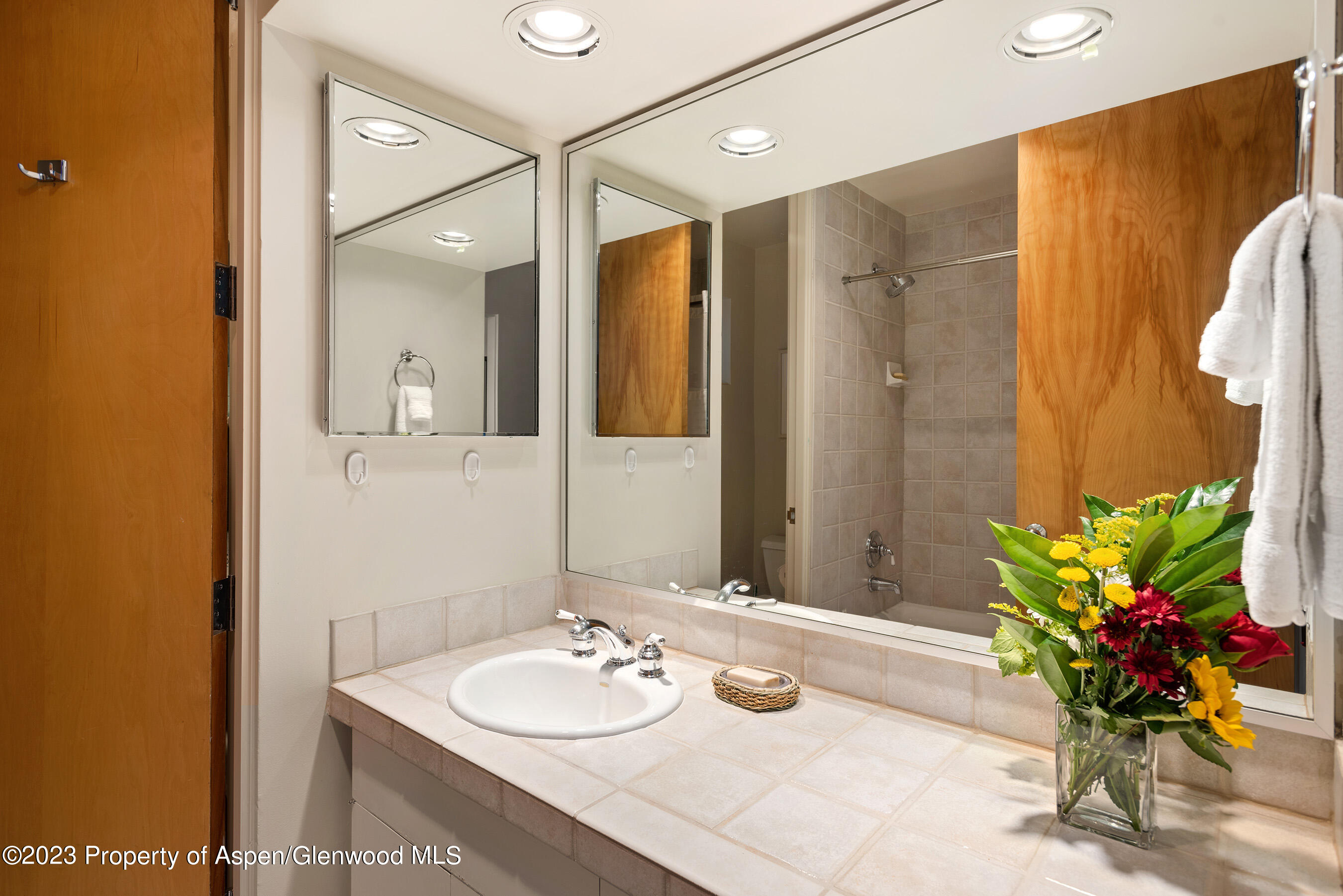 81 Meadows Trustee Road Property Photo 18