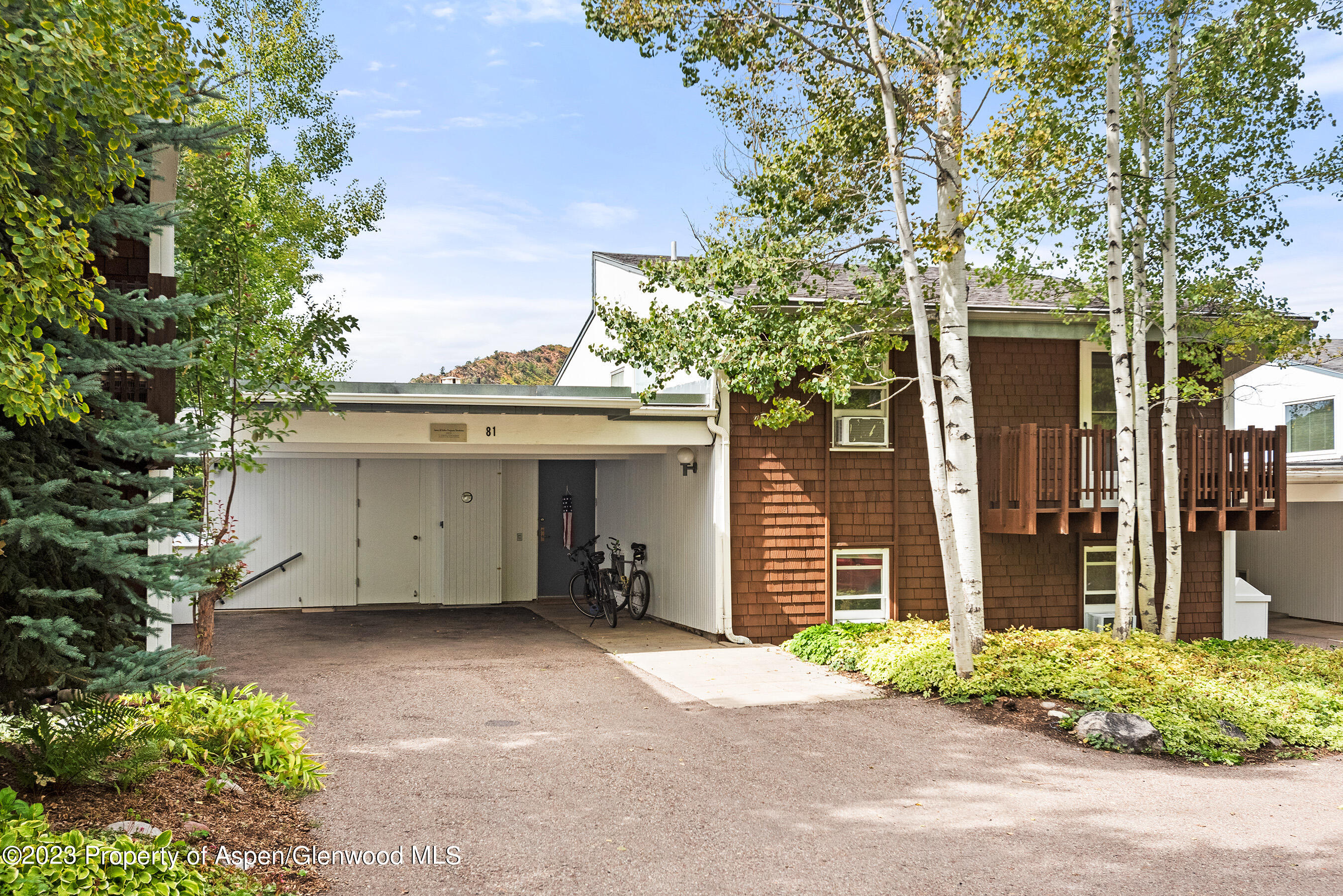 81 Meadows Trustee Road Property Photo 19