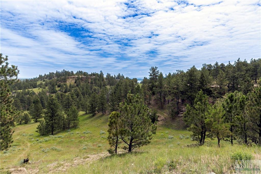 Tbd Cutoff Drive Property Photo