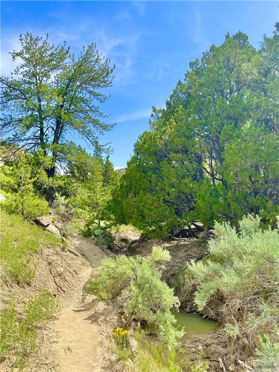 520 Acres Cottonwood Rd Property Photo