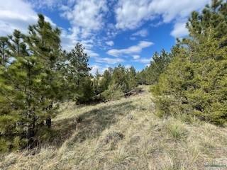Tbd Summit Ridge Road Property Photo 3