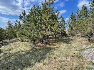 2 Summit Ridge Road Property Photo 3