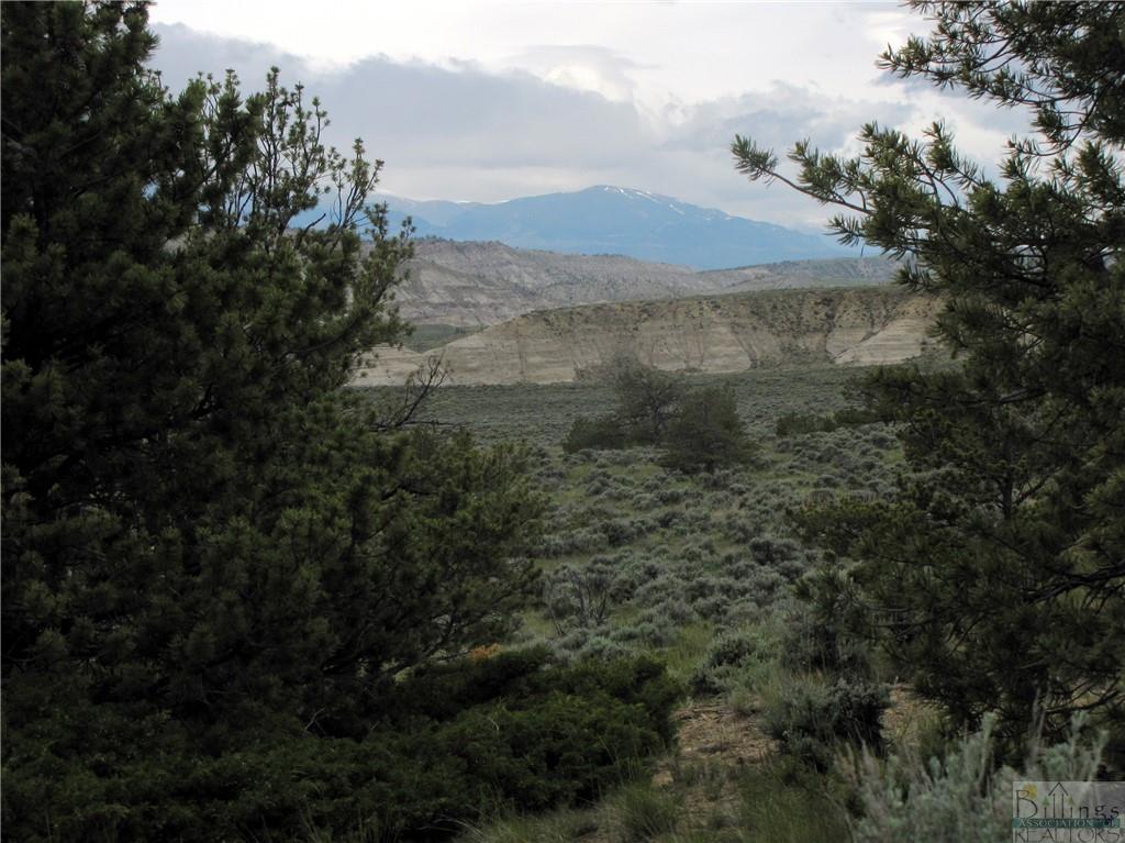 Nhn Cottonwood Road Property Photo 2