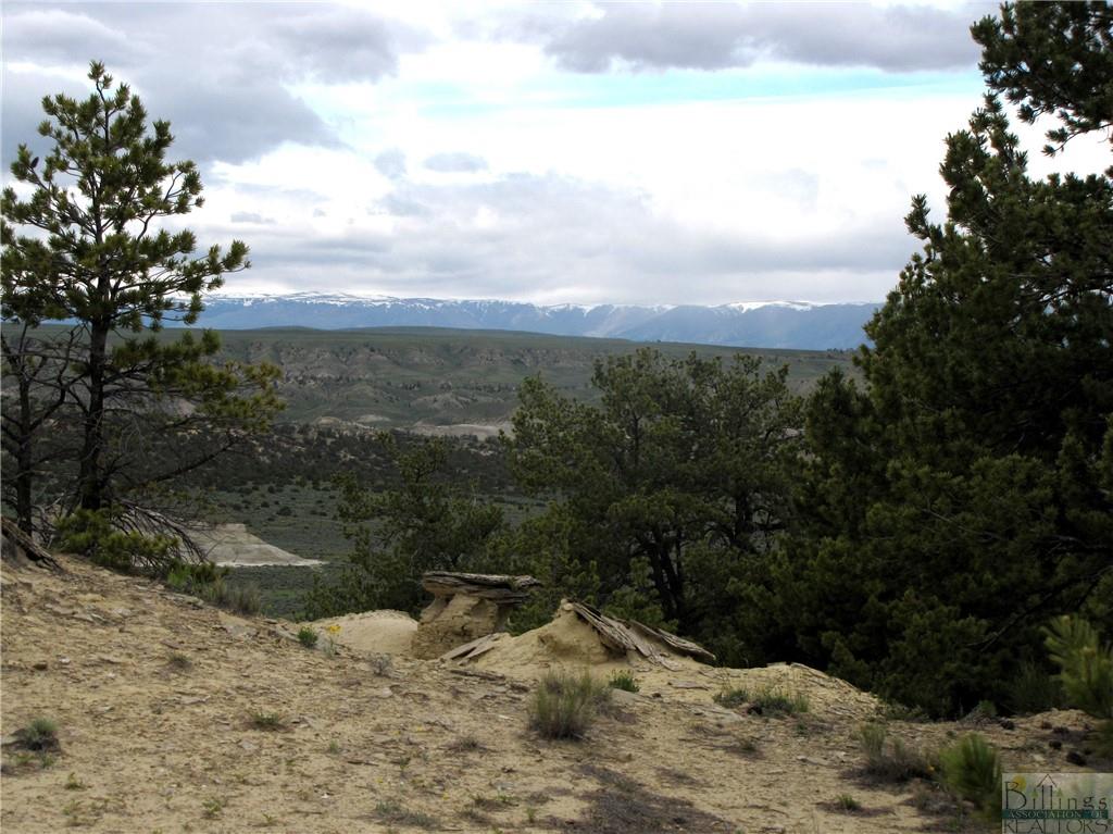Nhn Cottonwood Road Property Photo 10